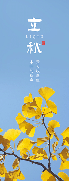秒秒___采集到立秋素材