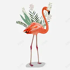 可爱小清新装饰海报装饰丹顶鹤和 免抠png 设计图片 免费下载 页面网页 平面电商 创意素材