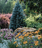 Deer-Resistant Combinations - FineGardening (1)