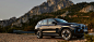 THE iX3