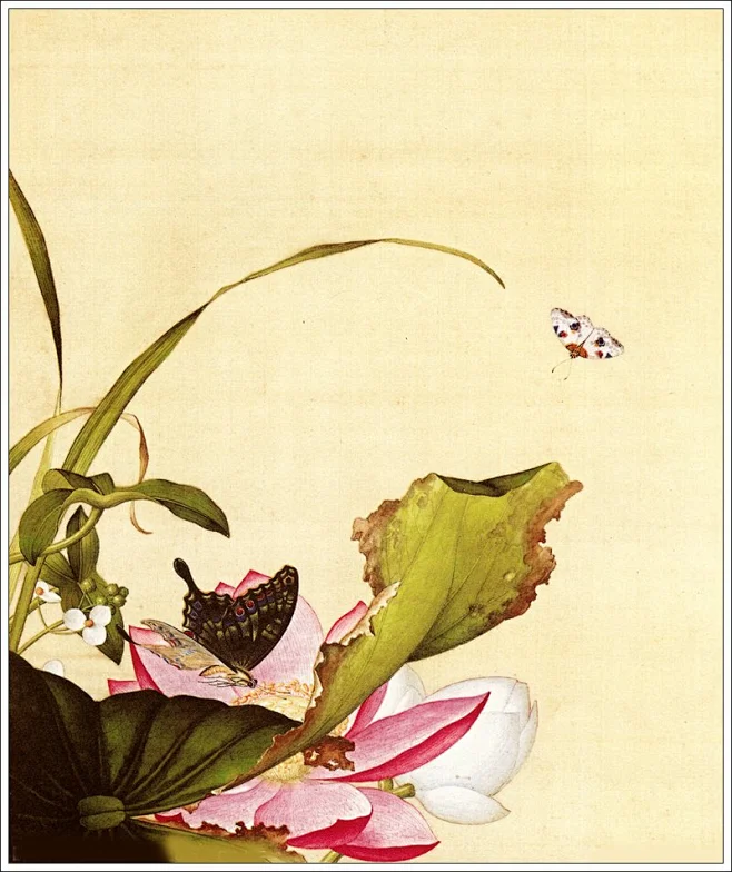 清代宫廷画师郎世宁工笔花鸟画-花瓣网