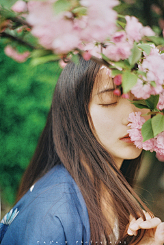 半夏浮生采集到花儿与少女