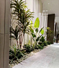 仿真绿植大型植物转角简欧会所搭配墙角大叶软装花艺景观定制餐厅-淘宝网
