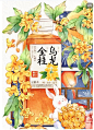 微信截图_20241202135241