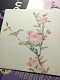 摸花 ​​​​