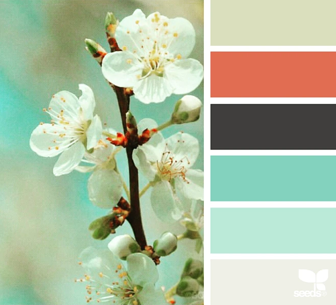 color nature-花瓣网