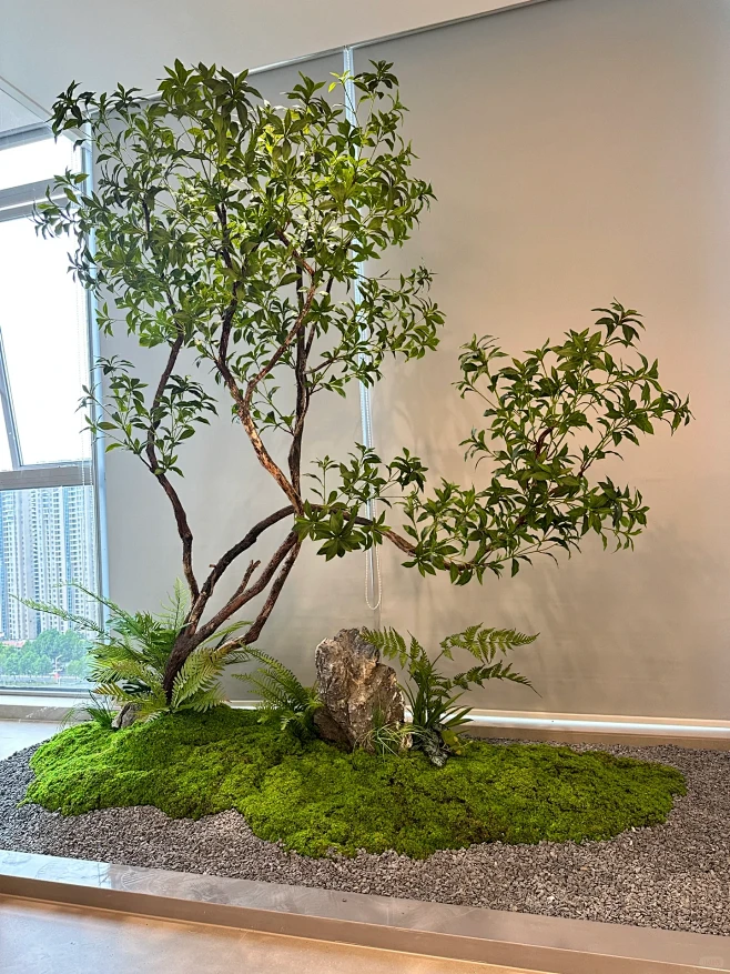 室内办公室马醉木景观和蕨类景观 绿色空间