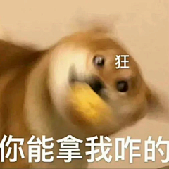 小响采集到表情包