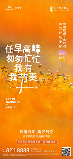 半吊子俗采集到排版等