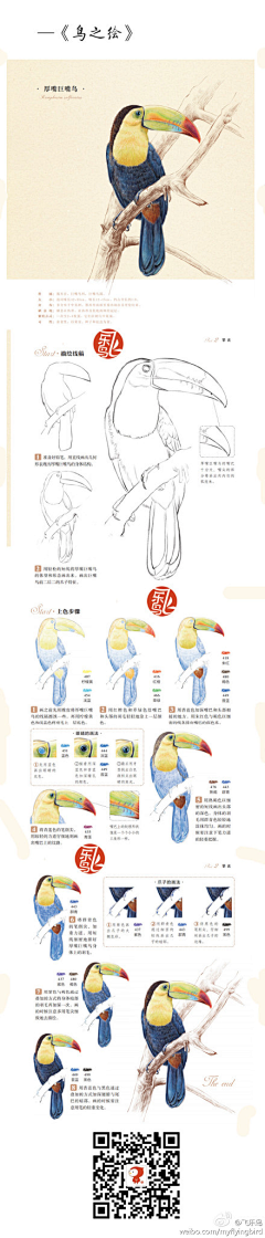 玛丽大人爱揪花采集到彩铅教程
