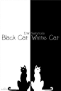 黑猫与白猫 微信聊天背景壁纸 聊天背景,微信聊天背景,黑猫,微信,白猫