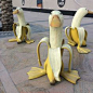 Banana Duck Art Statue, Garden Yard Outdoor Decor, Cute Funny Whimsical Peeled Banana Duck Figurines Decoration Ornaments Birthday GiftThey are like little lost tourists and can be spotted at different parts of the Boulevard at different times.They look l