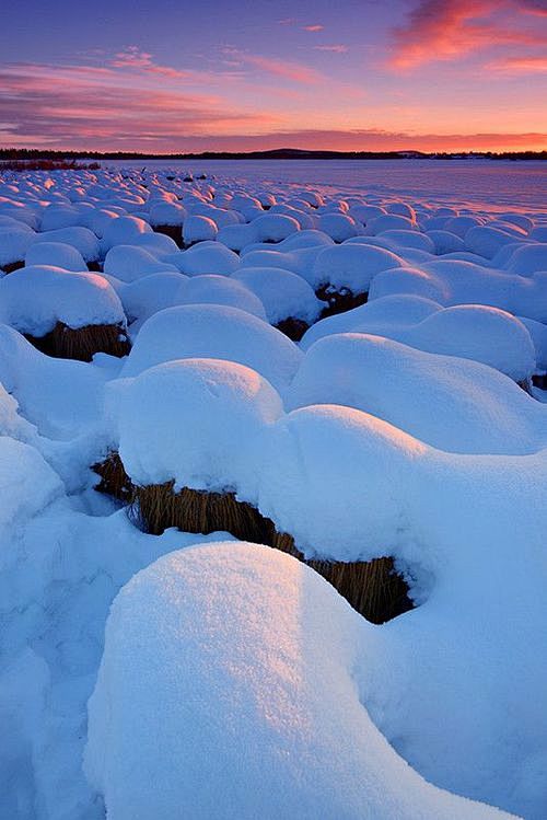 雪日落，基律纳，瑞典