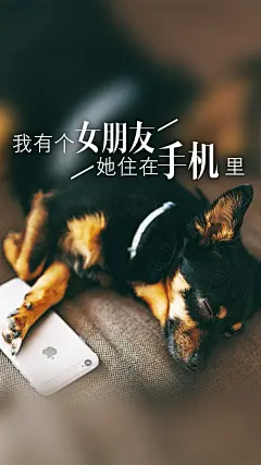 我有个女朋友，她住在手机里-竖屏