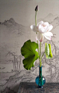 没有学习过插花，只是因为工作需要根据自己理解临时插过一些插花虽然插得不太好，但我觉得中式插花应该是以入画作为追求的，选枝构型都想想能不能符合画的布局和审美，大概就能窥其门径。 ​​​​