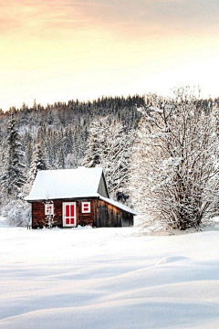 翠玉竹林采集到雪景