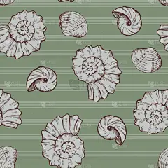 条纹,贝壳,海螺,水下,夏天,螺线,白色,纺织品,式样,旅行