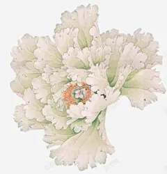 白色手绘牡丹花装饰图案高清素材 网页 设计图片 免费下载 页面网页 平面电商 创意素材 png素材