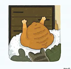 猫咪迷惑行为大赏！这40个猫咪的爆笑瞬间，每一张都是表情包哈哈哈哈
