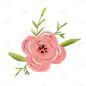 手绘-蜡笔花花小贴纸-山茶花