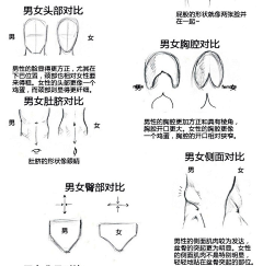 收集就等于画了吗采集到人体-部位