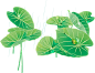 免扣 透明 素材 png 荷叶 莲花 手绘 插画