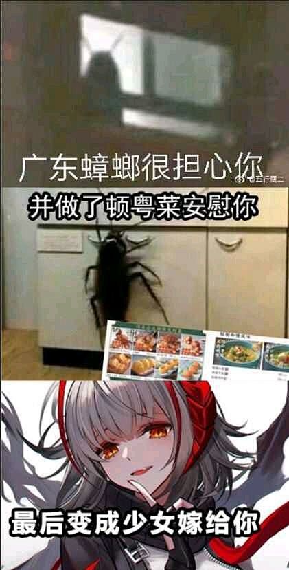 梗图_百度图片搜索