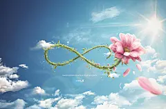 LAN - &quot;Flower&quot; : The translation would be &quot;Our favorite season, in Trujillo is infinite&quot;LAN wanted to give a shout to Trujillo for their, never ending, spring season.