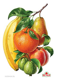 盒子cherry采集到水果