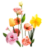 @冒险家的旅程か★
png植物 花朵 鲜花 绿叶 花环 水彩 手绘 彩铅 小清新 插画