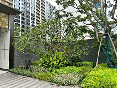 紫~Mask采集到种植相关
