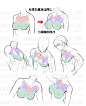 胸肩周りまとめ：胸の凹凸、肩の頂点、鎖骨と肩甲骨、胸と肩の連結部と連動性_2