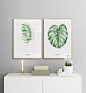 Inspiratie fotowand, botanica | Collage met botanische posters en prints