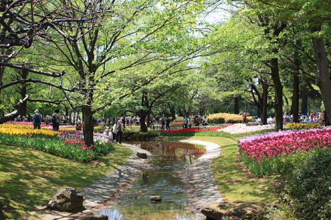 东京昭和纪念公园随拍