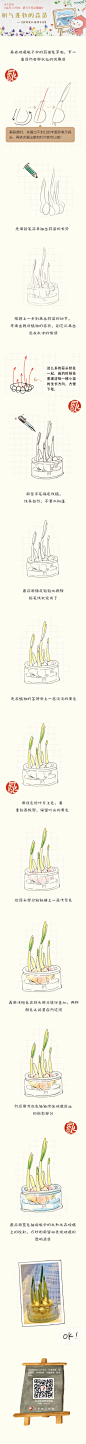 #每天10分钟，跟飞乐鸟学画画# 小小的蒜苗还挺可爱的不是吗？！蒜苗散发出的清香对空气还有杀菌消毒的作用哦！