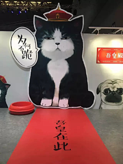 雾散我走采集到萌