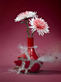Flowervases by Martin Klimas #speed #photography #inspiration #high
