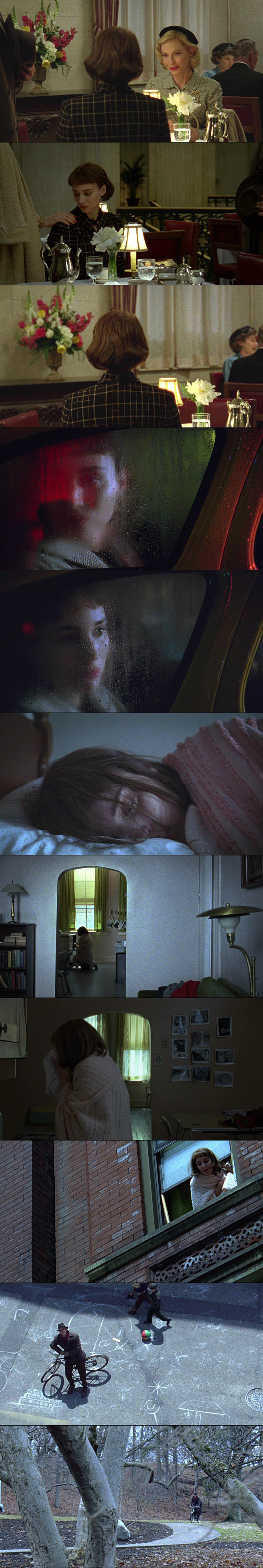 【卡罗尔 Carol (2015)】01...