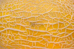 瓜皮的特写镜头