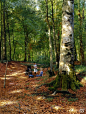 艺术家 Peder Mork Monsted