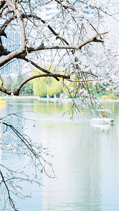 多鱼西采集到美景图片