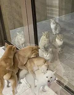 Jian嘻嘻的表情包来咯 - 小红书