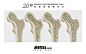 jiifll-10月20日世界骨质疏松日 World Osteoporosis Day-补钙-健身-养身-身体健康-骨气-父母-骨骼健康-2