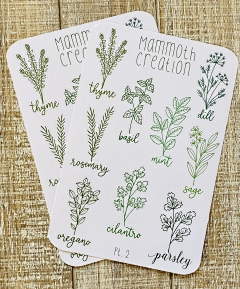 BatwH_紫藤采集到herb plant label