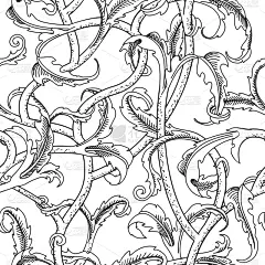 巴洛克风格,叶子,黑色,花纹,背景,分离着色,白色,华丽的,高雅,重复