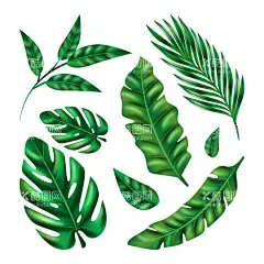 叶子  - 源文件下载【酷图网】叶子,树叶,植物,卡通,简单,各种叶子,叶子形状,叶子颜色,叶片,手绘,插图,插画