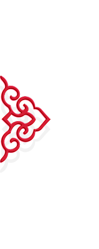 卉椰采集到花纹