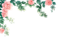 349cab68756542bd9a990ae9e7529223~noop.image (2000×1292)