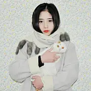 白毛大猫