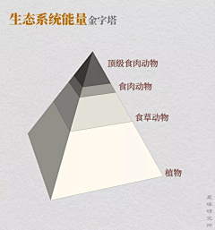 縱橫無礙采集到创意无限、追根溯源
